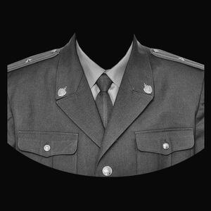 74-327 — Мундир военный с погонами и орденами